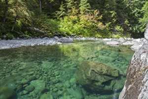 River in Hoh Olympic National Park, Washington State River in Hoh Olympic National Park, Washington State