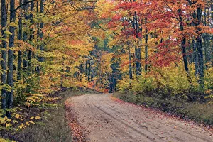 Road through Hiawatha National Forest and fall colors, Upper Peninsula of Michigan Road through Hiawatha National Forest and fall colors, Upper Peninsula of Michigan