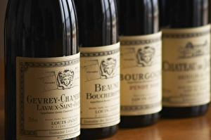A row of bottles and labels of burgundy wine from maison Louis Jadot Gevrey Chamberting A row of bottles and labels of burgundy wine from maison Louis Jadot Gevrey Chamberting