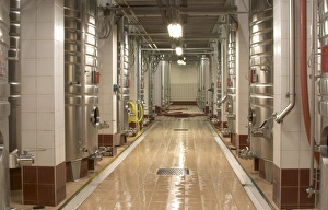 Rows of stainless steel fermentation tanks and a newly cleaned floor Rows of stainless steel fermentation tanks and a newly cleaned floor