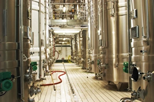 Rows of Stainless steel wine fermentation tanks with two tanks that are in cold Rows of Stainless steel wine fermentation tanks with two tanks that are in cold