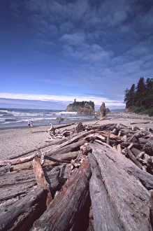 Olympic National Park Prints: Ruby Beach Driftwood and Sea Stacks, Olympic National Park; Washington; US