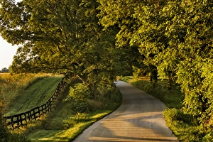 Rural road and fence at sunrise, Oldham County, Kentucky Rural road and fence at sunrise, Oldham County, Kentucky