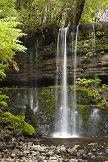 Tranquil Australian Landscapes Prints: Russell Falls