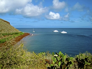 A sailboat and yachts with tourists along Coastline of the Galapagos Islands of Ecuador A sailboat and yachts with tourists along Coastline of the Galapagos Islands of Ecuador
