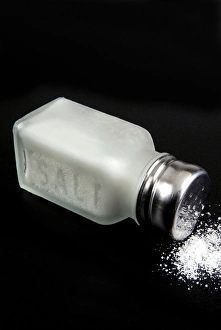 Kitchen Utensil Tool Prints: Salt cellar with salt