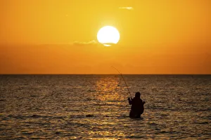 Saltwater fishing in Laguna Madre (bay) at sunrise Saltwater fishing in Laguna Madre (bay) at sunrise