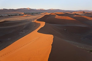 Sand dunes, Namib Naukluft National Park, Namibia Sand dunes, Namib Naukluft National Park, Namibia