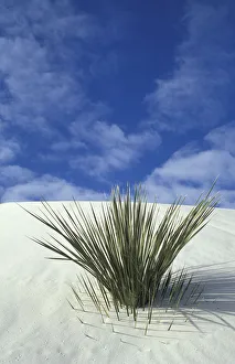 Sand dunes at White Sands National Monument, New Mexico Sand dunes at White Sands National Monument, New Mexico