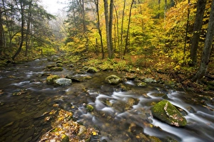 Sanderson Brook. Chester-Blanford State Forest. Connecticut River tributary. Chester Sanderson Brook. Chester-Blanford State Forest. Connecticut River tributary. Chester