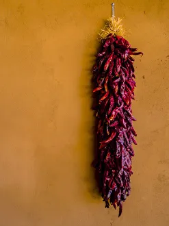 Santa Fe, New Mexico. The Long, Dried, Group of Red Chili Peppers and a Terra Cotta wall Santa Fe, New Mexico. The Long, Dried, Group of Red Chili Peppers and a Terra Cotta wall