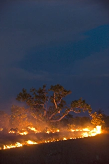 Savannah Fire Kanuku Mountains Rupununi GUYANA South America Savannah Fire Kanuku Mountains Rupununi GUYANA South America