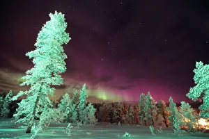 Scandinavia, Finland, Lapland, Kakslauttanen, The Aurora borealis Scandinavia, Finland, Lapland, Kakslauttanen, The Aurora borealis