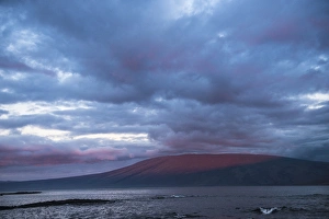 Scenic View Isabela Island GALAPAGOS ISLANDS, Ecuador, South America Scenic View Isabela Island GALAPAGOS ISLANDS, Ecuador, South America