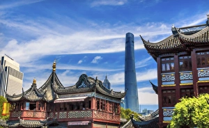 Shanghai Tower, Second Tallest Building in World, Jin Mao Tower from Yuyuan Garden Shanghai Tower, Second Tallest Building in World, Jin Mao Tower from Yuyuan Garden