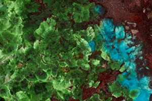 Natural Patterns In Nature Prints: Shattuckite