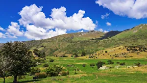 Sheep ranch on the shore of Lake Wanaka, Otago, South Island, New Zealand Sheep ranch on the shore of Lake Wanaka, Otago, South Island, New Zealand