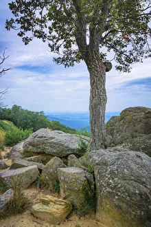 Shenandoah vista, Blue Ridge Parkway, Smoky Mountains, USA Shenandoah vista, Blue Ridge Parkway, Smoky Mountains, USA