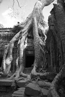 Siam Reap, Cambodia. Just outside of Siam Reap, the UNESECO World Herritage site Siam Reap, Cambodia. Just outside of Siam Reap, the UNESECO World Herritage site