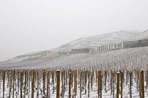 Sign Paul Jaboulet Aine, M Chapoutier, the Les Greffeux vineyard in front. The Hermitage Sign Paul Jaboulet Aine, M Chapoutier, the Les Greffeux vineyard in front. The Hermitage