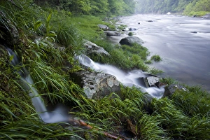 A small stream cascades into the West Branch of the Westfield River in Chesterfield A small stream cascades into the West Branch of the Westfield River in Chesterfield