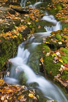 A small stream flows over moss-covered rocks in Vermonts Green Mountains A small stream flows over moss-covered rocks in Vermonts Green Mountains