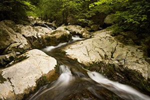 A small tributary of the West branch of the Westfield River in Chester, Massachuetts A small tributary of the West branch of the Westfield River in Chester, Massachuetts