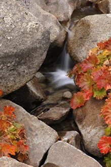 A small waterfall on a creek in the El Dorado National Forest in Callifornia's A small waterfall on a creek in the El Dorado National Forest in Callifornia's