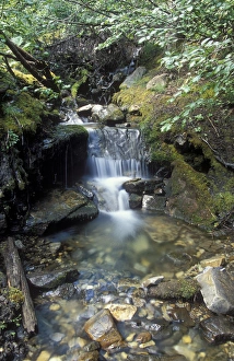 Small waterfall along creek in Jasper National Park, Canada Small waterfall along creek in Jasper National Park, Canada