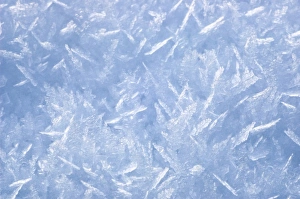 North America Winter Landscapes Prints: Snow