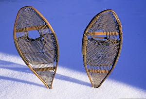 Snow shoes were used by many tribes of the Sub-Arctic regions such as the Athabaskan Snow shoes were used by many tribes of the Sub-Arctic regions such as the Athabaskan