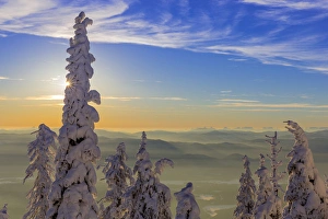 Snowghosts with a fata morgana in background at Whitefish Mountain Resort in Whitefish Snowghosts with a fata morgana in background at Whitefish Mountain Resort in Whitefish