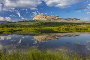Sofa Mountain reflecting into beaver pond in Waterton Lakes National Park, Alberta Sofa Mountain reflecting into beaver pond in Waterton Lakes National Park, Alberta