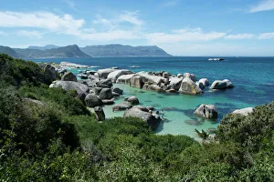 South Africa, Cape Town, Simons Town, Boulders Beach. African penguin colony South Africa, Cape Town, Simons Town, Boulders Beach. African penguin colony