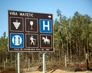 South America, Chile, Casablanca Valley. A road sign with international symbols South America, Chile, Casablanca Valley. A road sign with international symbols