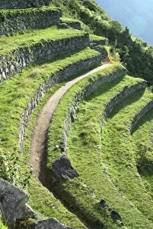Images Dated 4th December 2002: South America Peru Machu Picchu Terracing