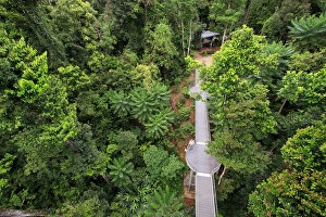 The spectacular view out over the North Johnstone River from the top of the 37 metre The spectacular view out over the North Johnstone River from the top of the 37 metre