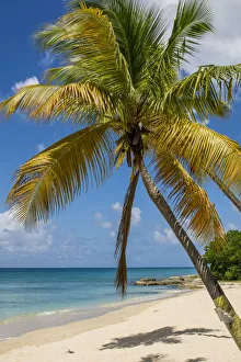 Sprat Hall Beach, St. Croix, US Virgin Islands Sprat Hall Beach, St. Croix, US Virgin Islands
