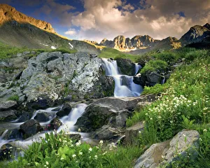 A spring cascade with white wildflowers in American Basin in the Colorado Rocky Mountains A spring cascade with white wildflowers in American Basin in the Colorado Rocky Mountains