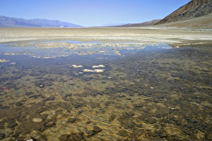 Standing water at Badwater in Death Valley National Park California Standing water at Badwater in Death Valley National Park California
