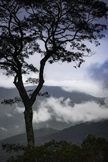 Stylized vista, Blue Ridge Parkway, Smoky Mountains, USA Stylized vista, Blue Ridge Parkway, Smoky Mountains, USA