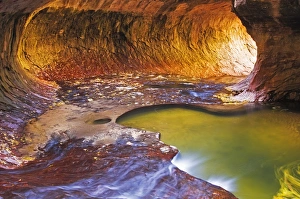 The Subway along North Creek, Zion National Park, Utah USA The Subway along North Creek, Zion National Park, Utah USA