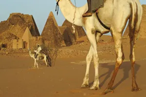 Sudan, North (Nubia), Meroe pyramids with cameldrivers Sudan, North (Nubia), Meroe pyramids with cameldrivers