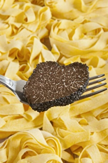 Summer black truffle (Tuber aestivum) on a fork with pasta background Summer black truffle (Tuber aestivum) on a fork with pasta background