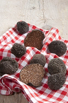 Summer black truffles (Tuber aestivum) on a napkin Summer black truffles (Tuber aestivum) on a napkin