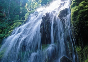 The sun breaks through the thick tree canopy around Proxy Falls in the Oregon Cascades The sun breaks through the thick tree canopy around Proxy Falls in the Oregon Cascades
