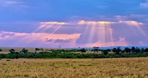 African Savannah Landscape Prints: Sun setting on the Masai Mara