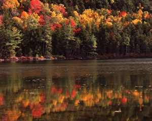 Sunrise Pond and fall foliage, Borestone Mt. Wildlife Sanctuary, Elliotsville Plantation Sunrise Pond and fall foliage, Borestone Mt. Wildlife Sanctuary, Elliotsville Plantation
