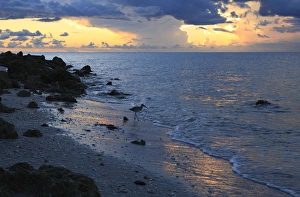 Sunset, beaches, South Seas Island Resort Captiva Island, Florida Sunset, beaches, South Seas Island Resort Captiva Island, Florida