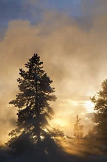 Sunset colors the steam above Leather Pool in the Lower Geyser Basin in Yellowstone Sunset colors the steam above Leather Pool in the Lower Geyser Basin in Yellowstone